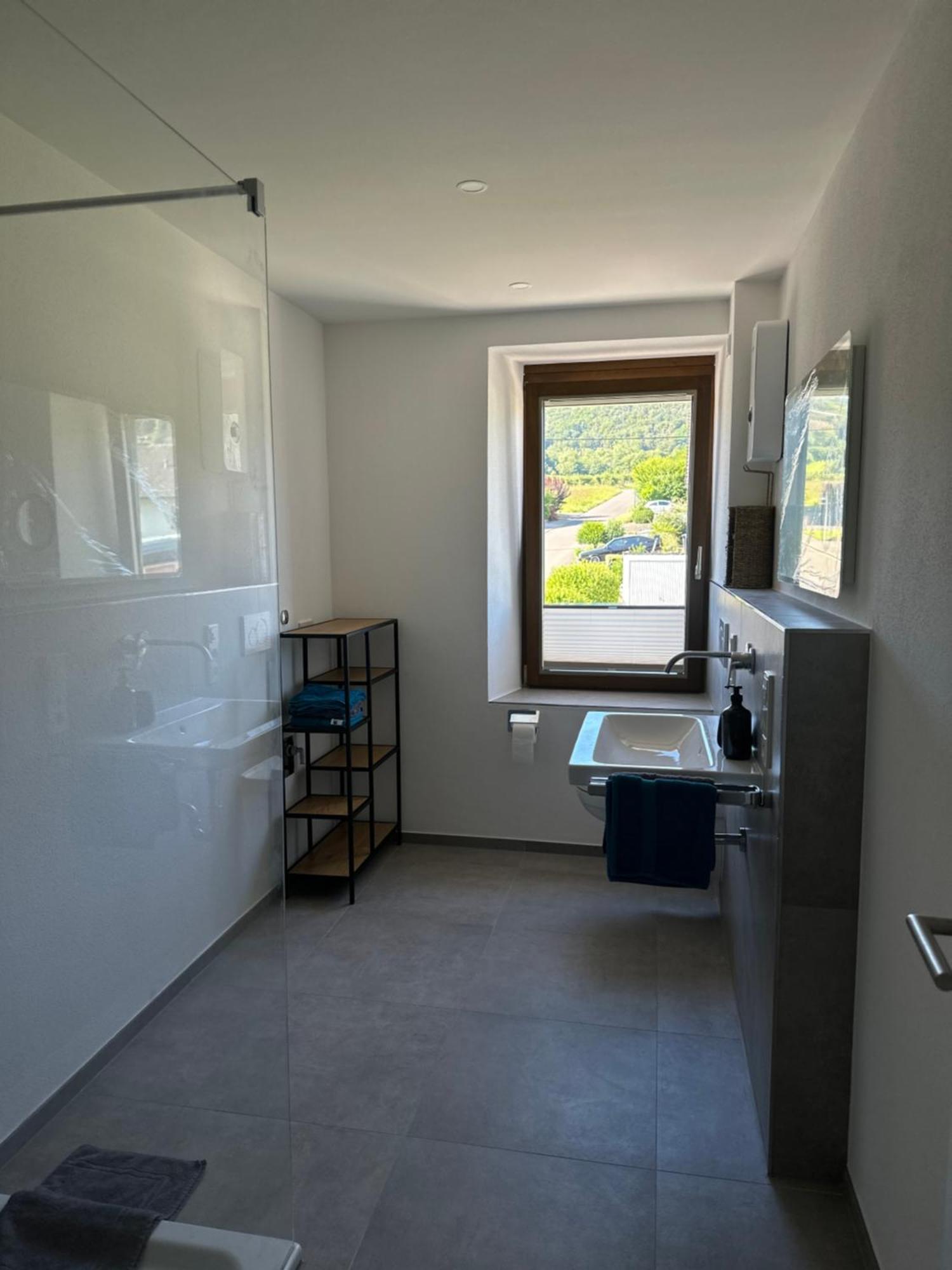 Moselappartements By Weingut Marco Adamy Losnich Екстер'єр фото
