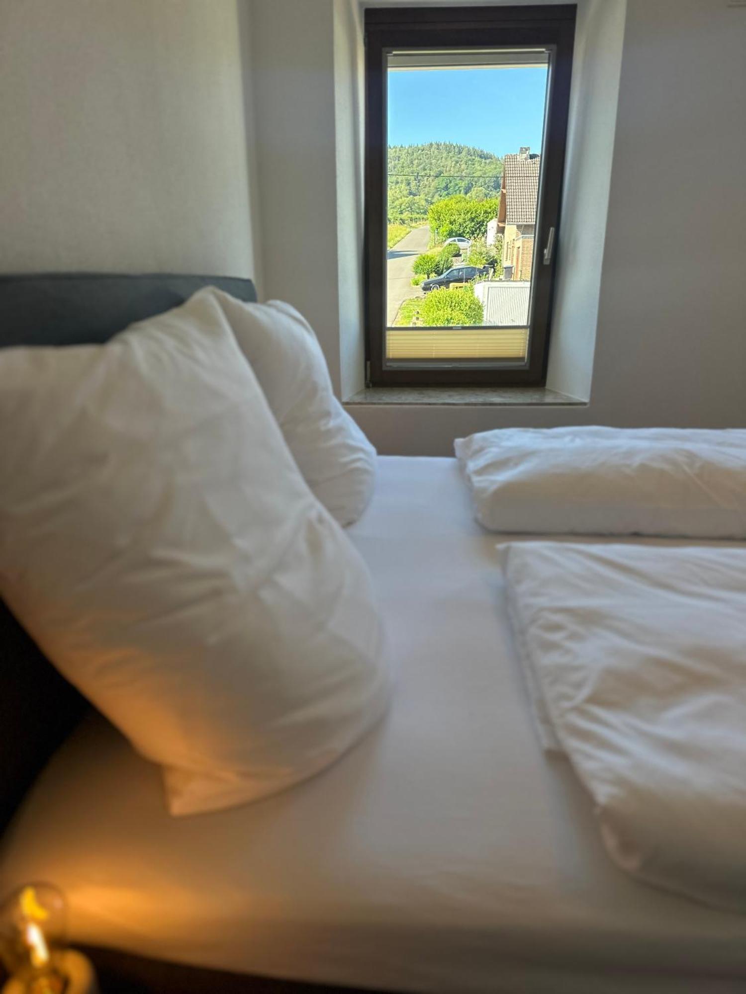 Moselappartements By Weingut Marco Adamy Losnich Екстер'єр фото