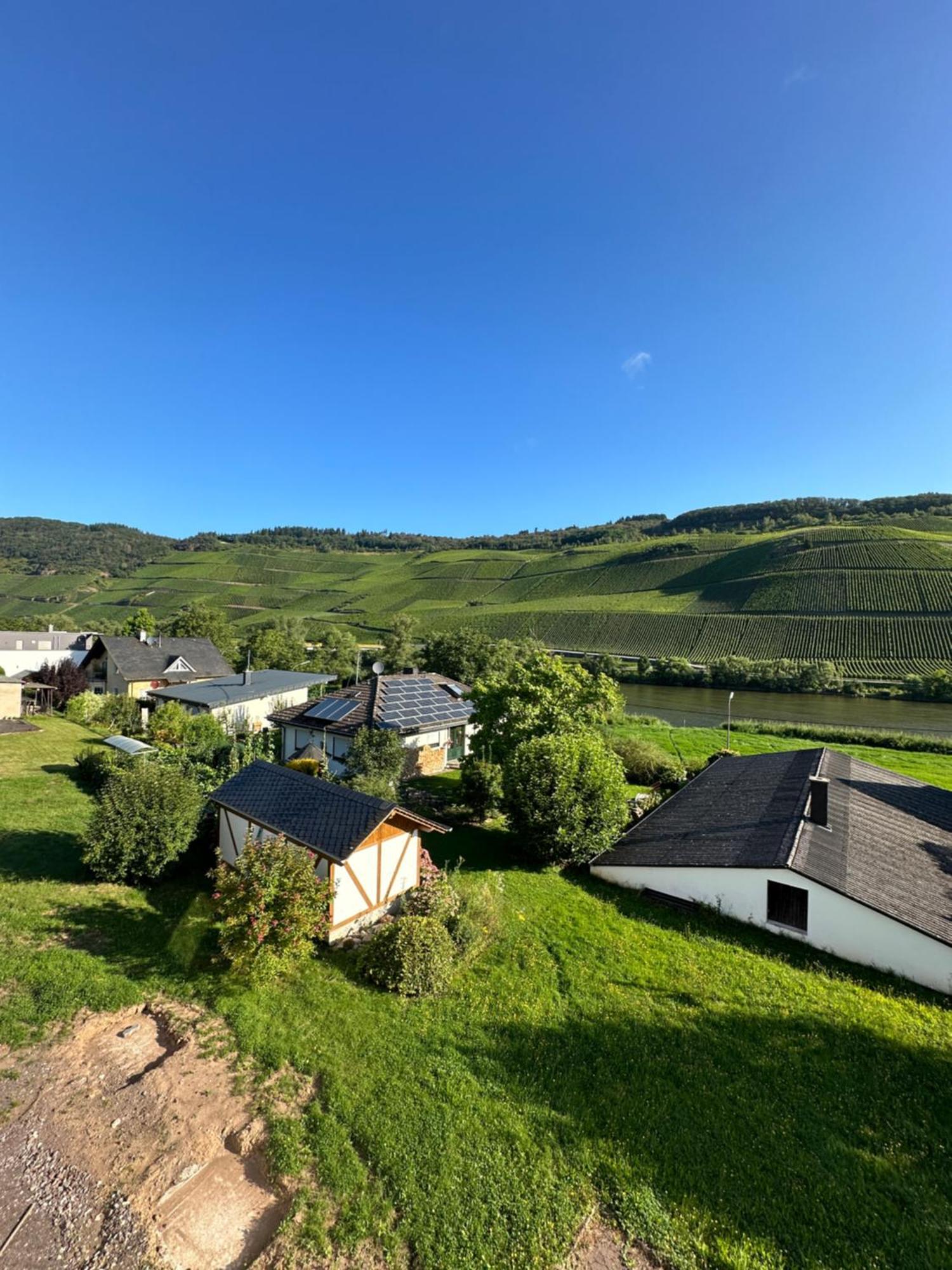 Moselappartements By Weingut Marco Adamy Losnich Екстер'єр фото