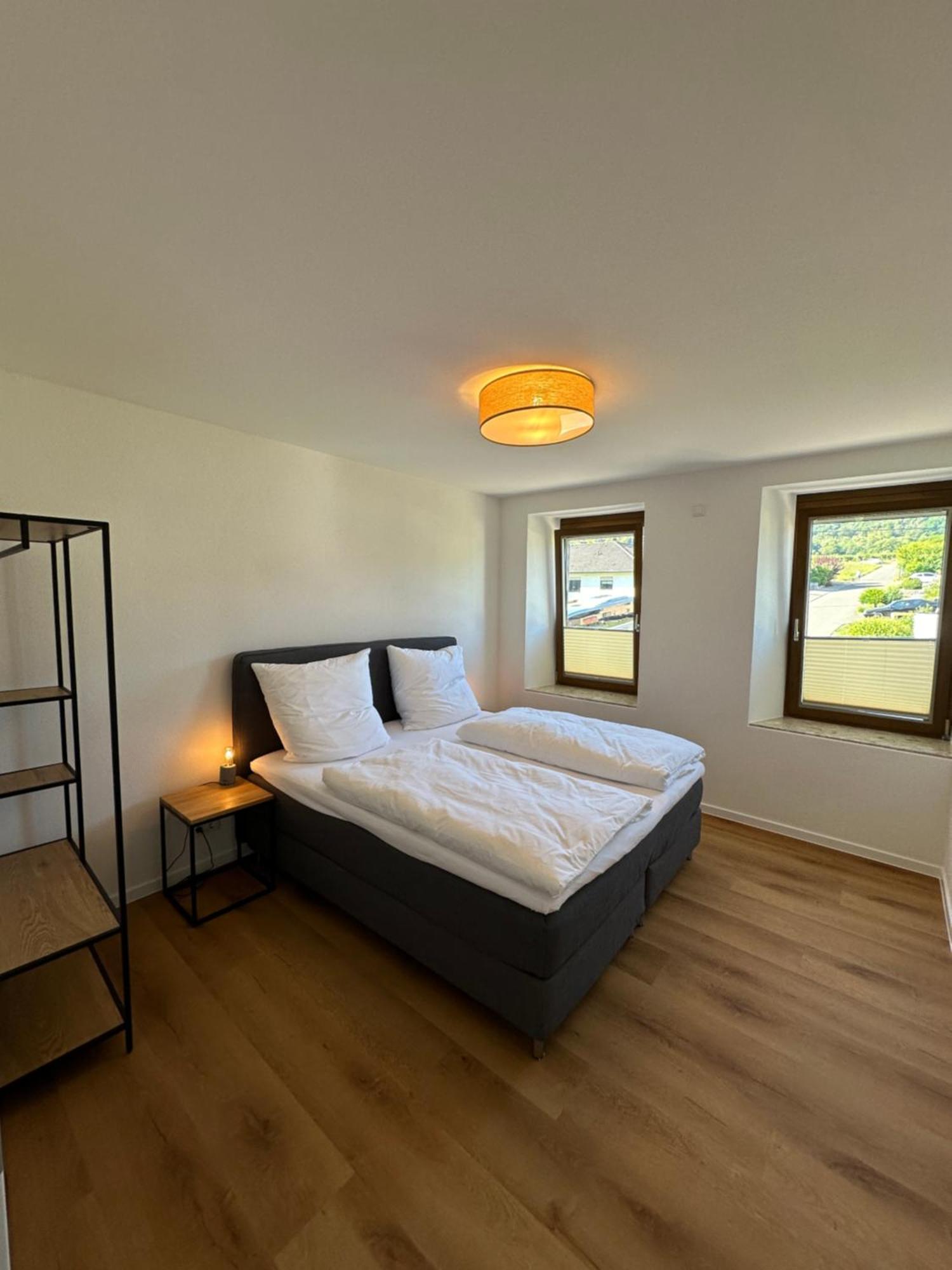 Moselappartements By Weingut Marco Adamy Losnich Екстер'єр фото