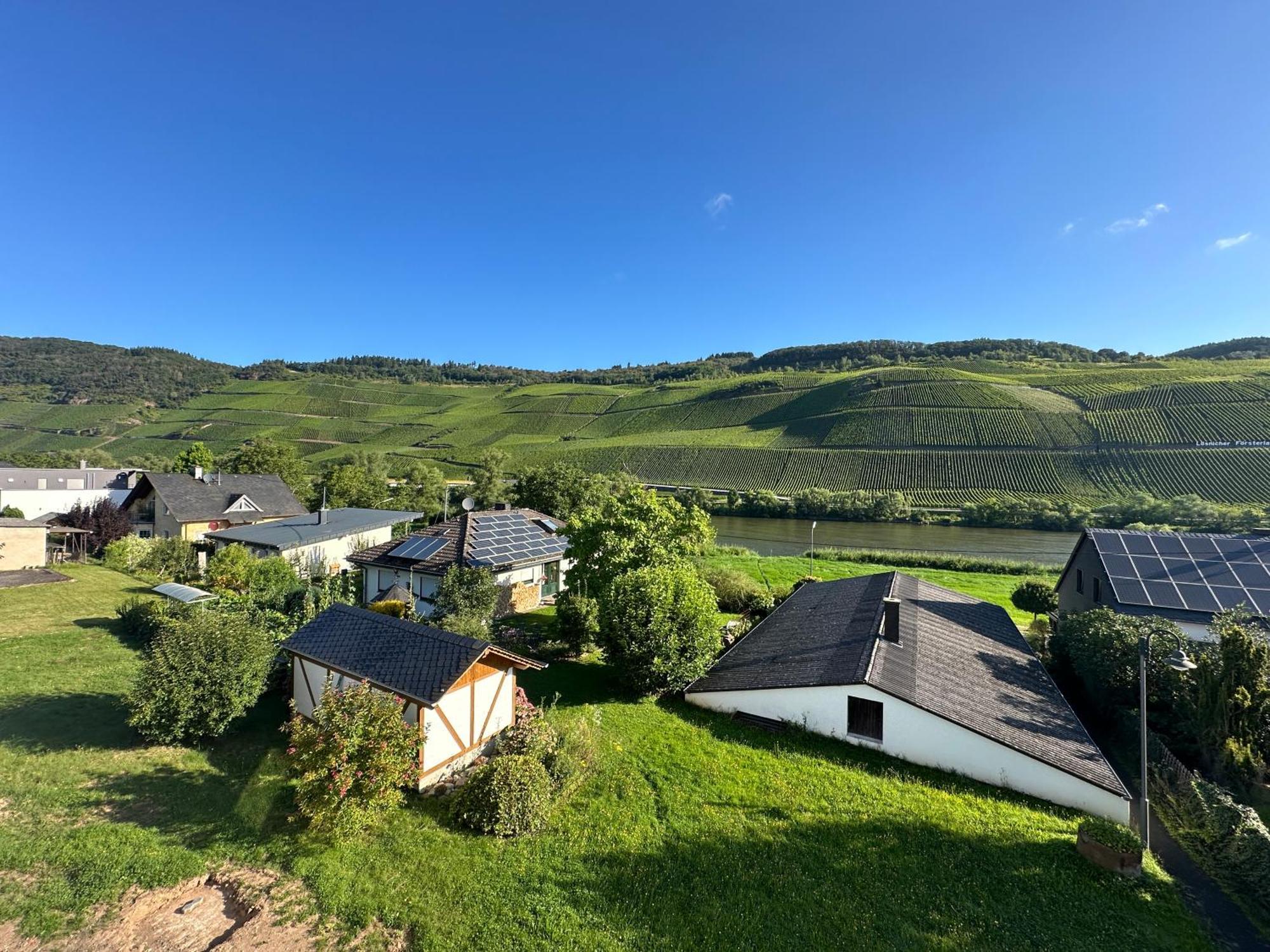 Moselappartements By Weingut Marco Adamy Losnich Екстер'єр фото