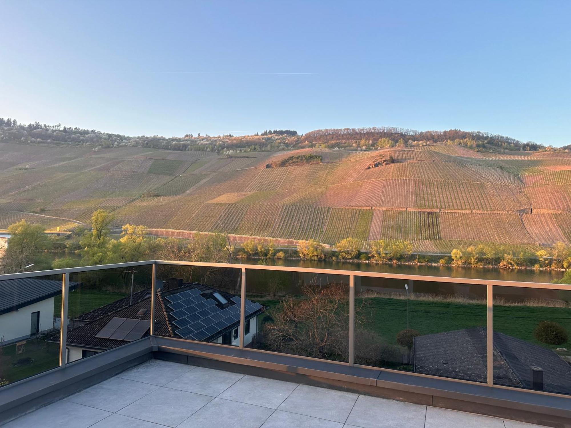 Moselappartements By Weingut Marco Adamy Losnich Екстер'єр фото