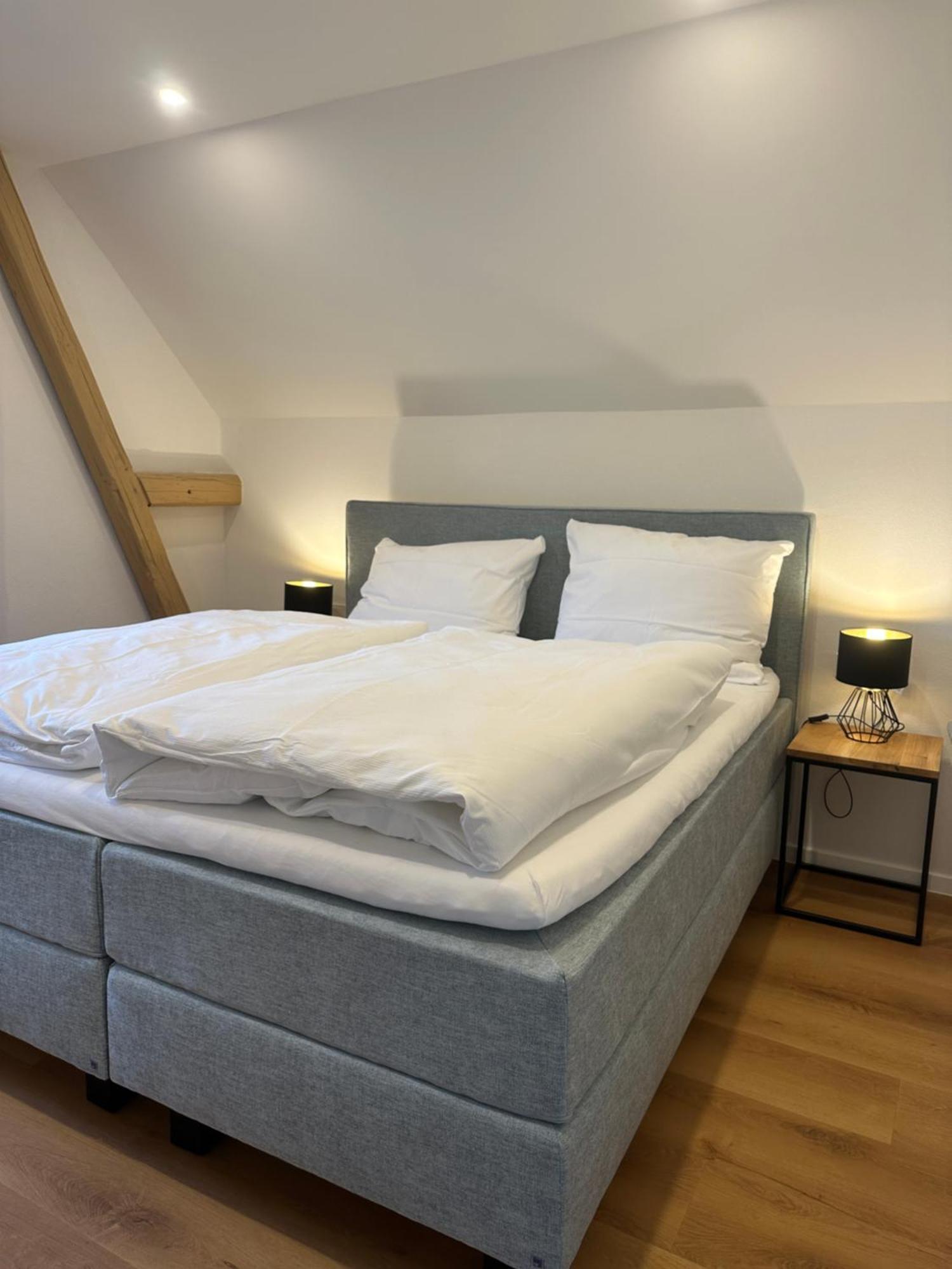 Moselappartements By Weingut Marco Adamy Losnich Екстер'єр фото