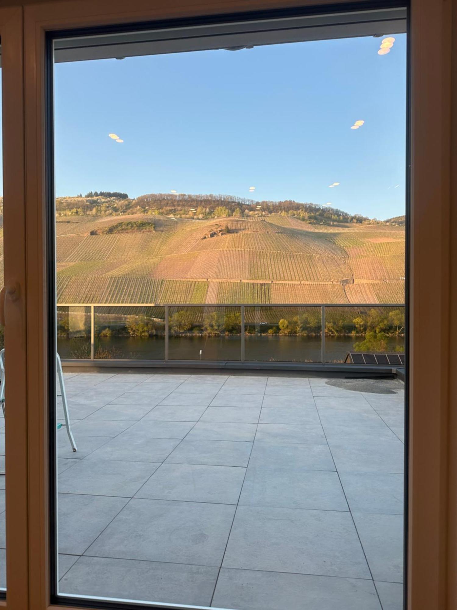 Moselappartements By Weingut Marco Adamy Losnich Екстер'єр фото