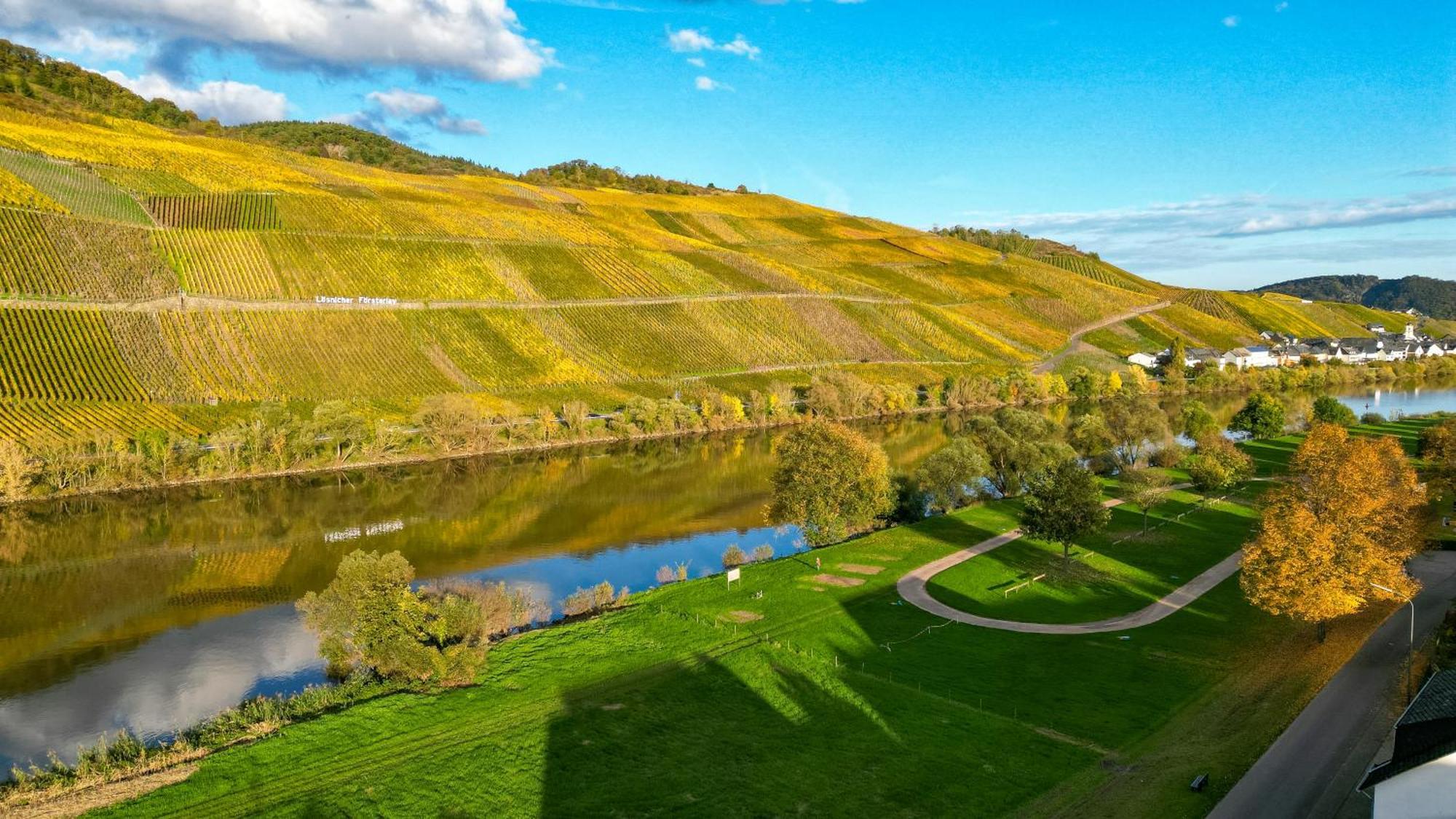 Moselappartements By Weingut Marco Adamy Losnich Екстер'єр фото