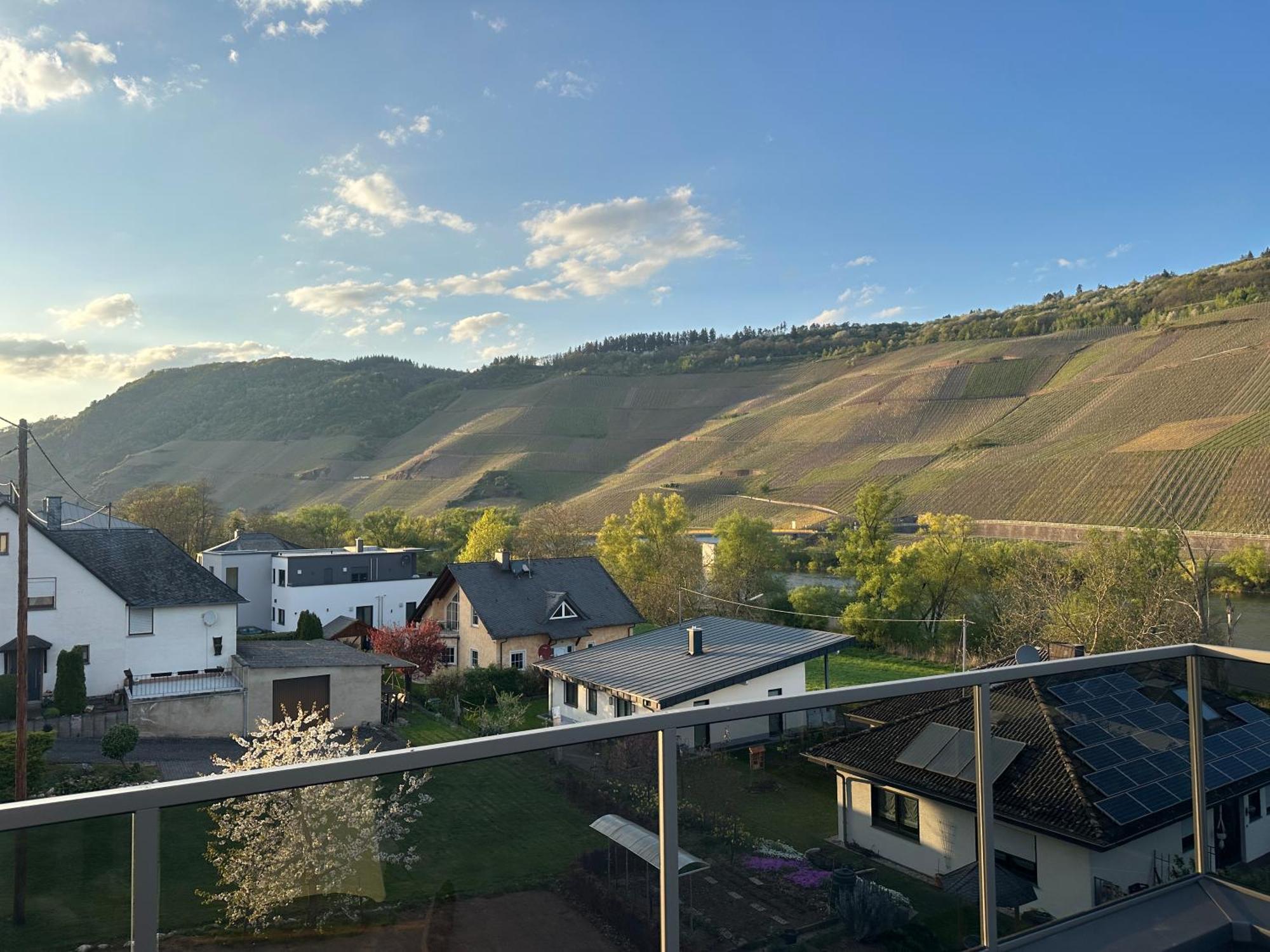 Moselappartements By Weingut Marco Adamy Losnich Екстер'єр фото